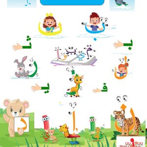 بطاقات المفردات المصور