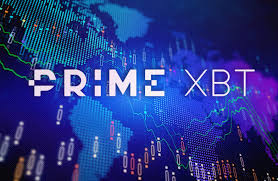 Exploring PrimeXBT Alternatives for Crypto Trading
